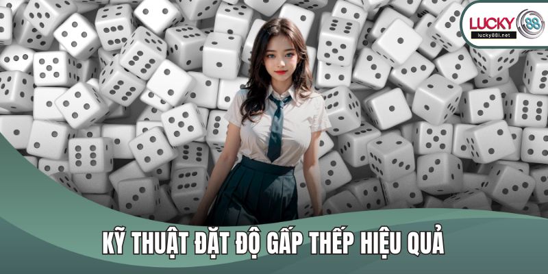 Kỹ thuật đặt độ gấp thếp hiệu quả
